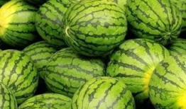 免费吃瓜网官网,揭秘娱乐圈幕后故事，带你畅游娱乐资讯海洋